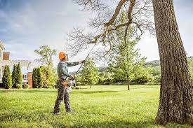 Best Tree Planting Services  in Osceola, WI